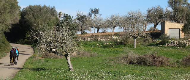 Balearic Landscape