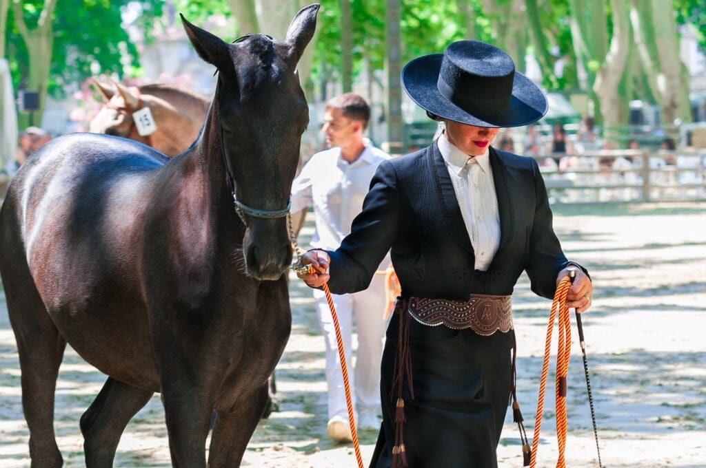 Festivals in Spain in May: Jerez Horse Fair