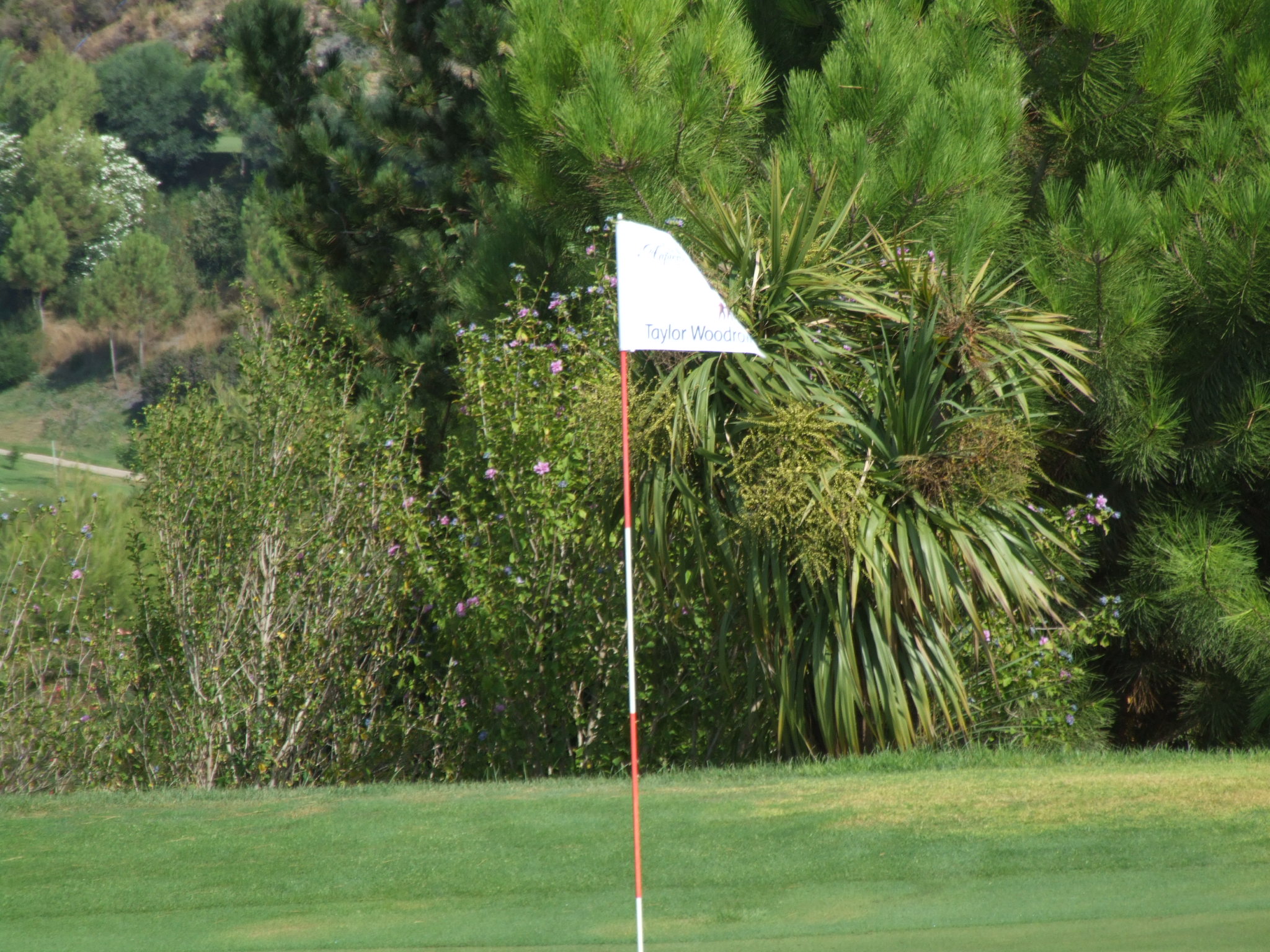 Book a Rounf of Golf at Christmas in Tenerife