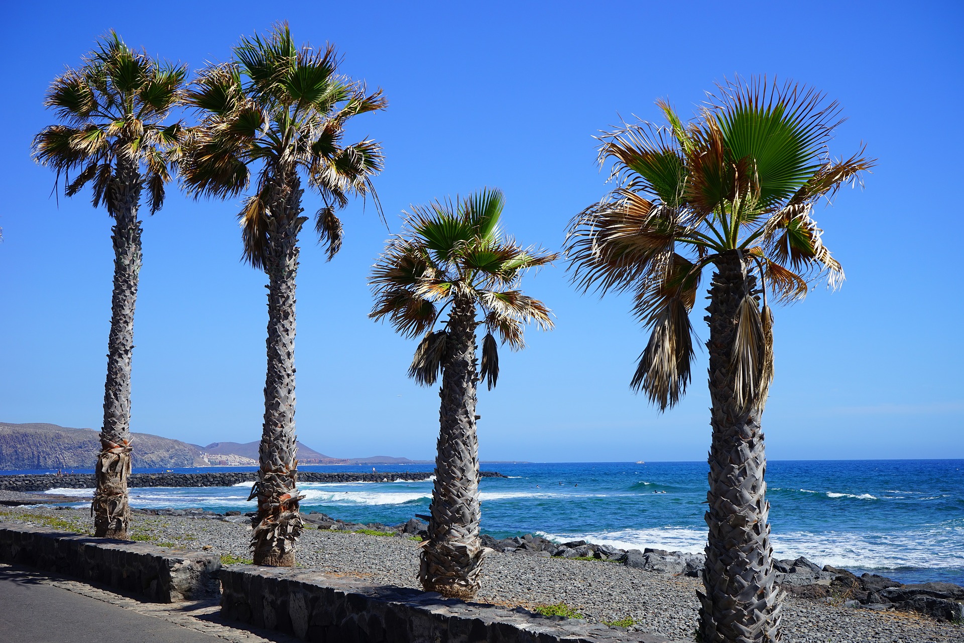 Playa De Las Americas Tourist Information Travel Guide Tenerife