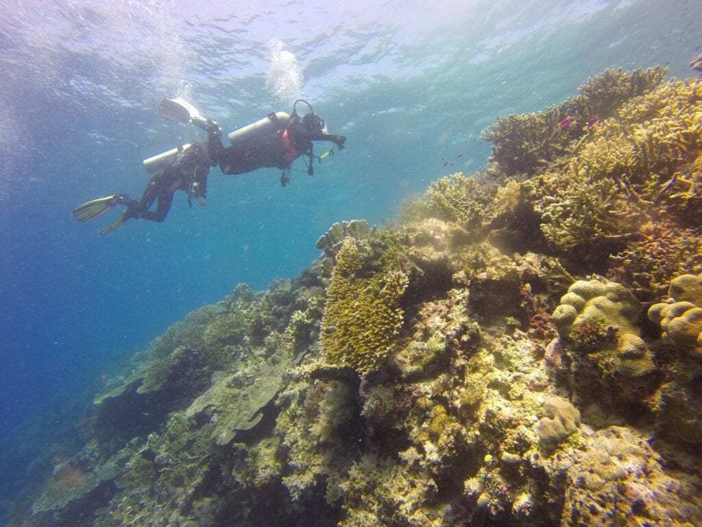 Diving in Mallorca