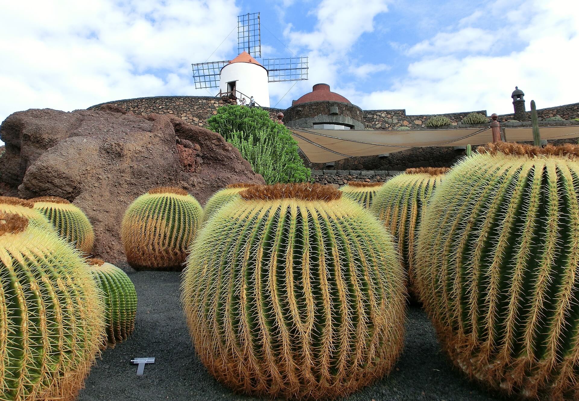 Visit El Jardin de Cactus in Lanzarote